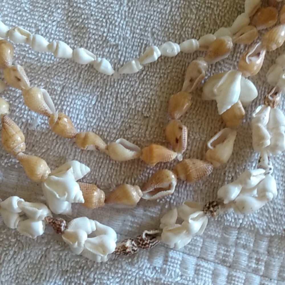 6/$20 Shell Necklaces - Picture 5 of 5
